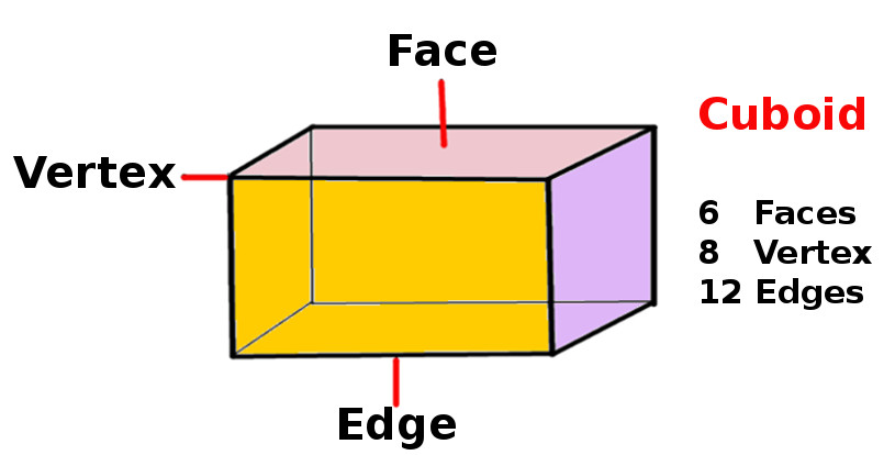 vertical cross section of cuboid