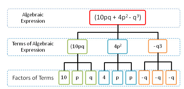 Tree Diagram Represent Terms And Factors Of An Algebraic Expression At 